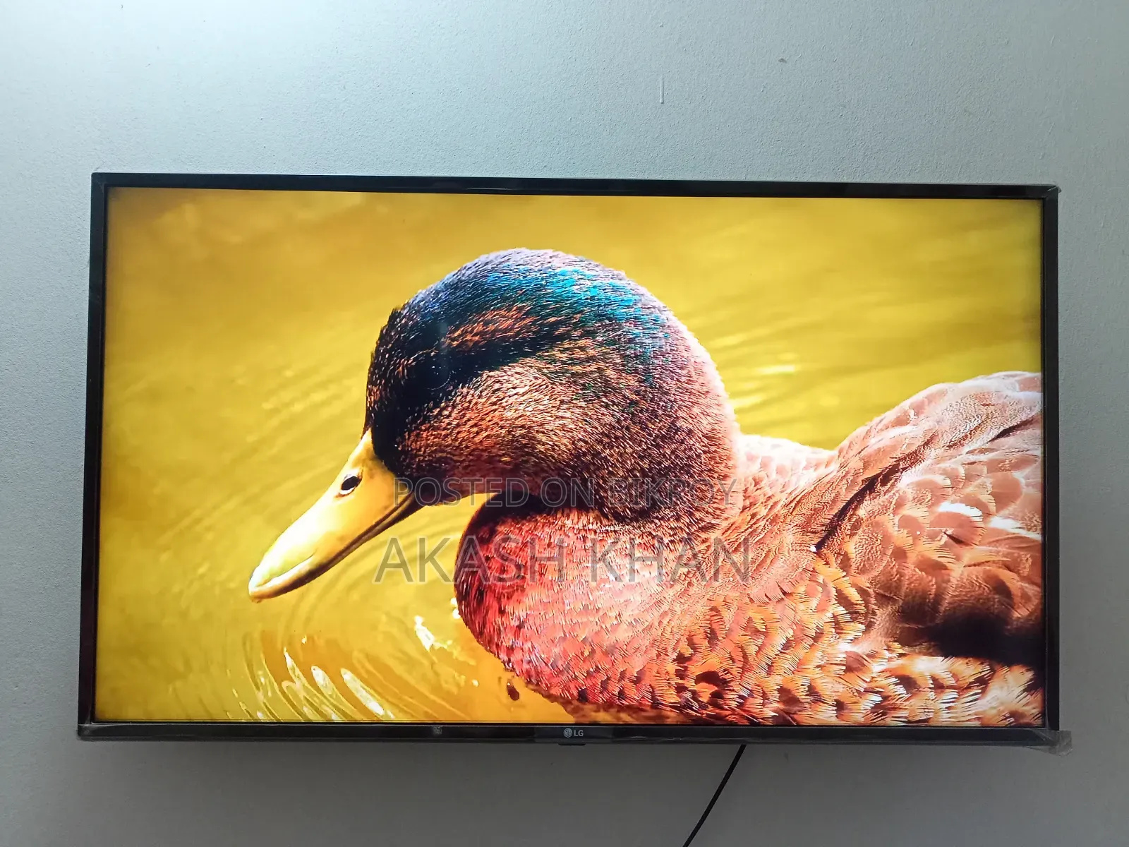 LG 43" Smart TV (With Box)