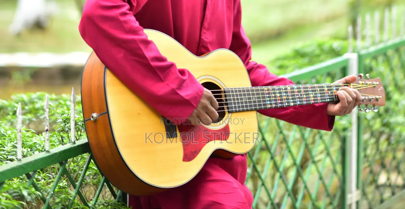 চার্ড জি-৩৯ এন অ্যাকোস্টিক গিটার — বিক্রয়ের জন্য