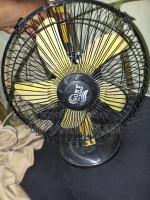 ইলেকট্রিক ফ্যান