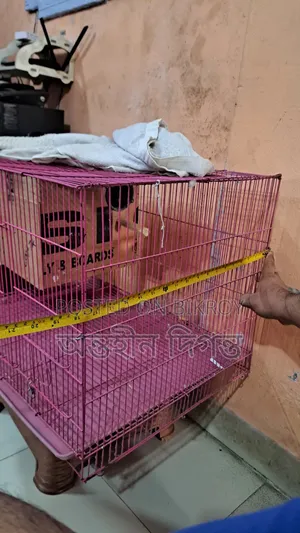 কাঠের প্রজনন বাসা সহ পাখির খাঁচা