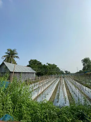 ৮ শতাংশ জায়গা বিক্রি হবে সুলতানপুর চিনাইর রোড