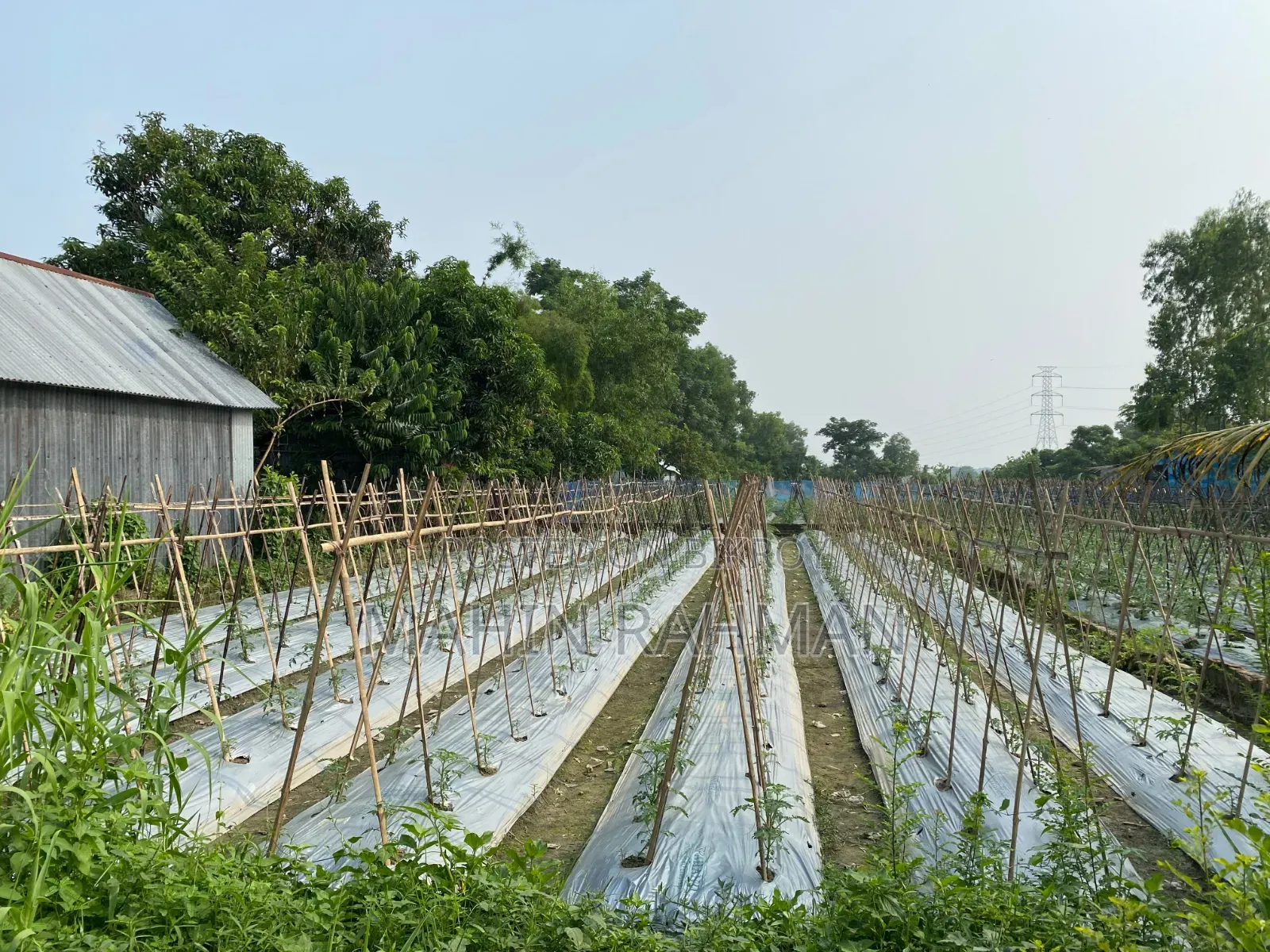 8 decimal land for sale at Sultanpur Chinair Road