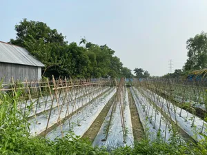 8 decimal land for sale at Sultanpur Chinair Road