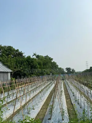8 decimal land for sale at Sultanpur Chinair Road