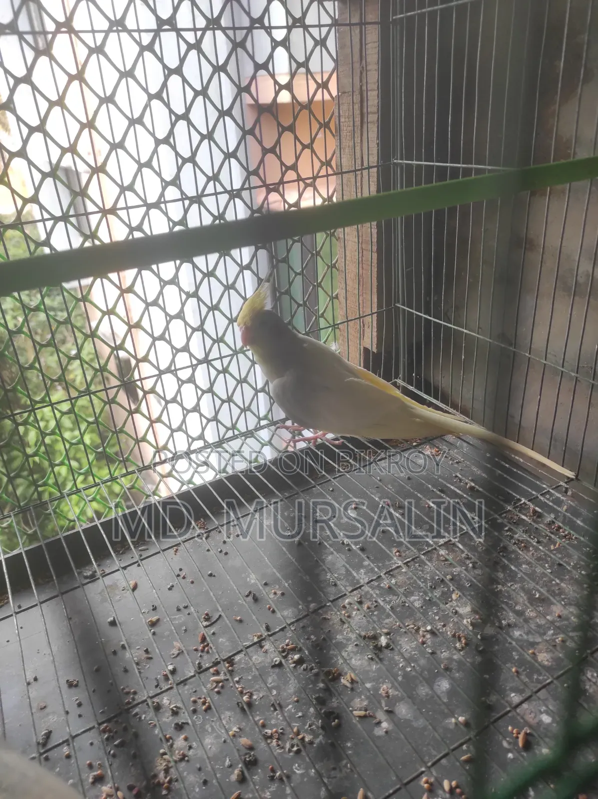 রহাত্তার পুল