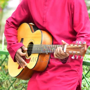 চার্ড জি-৩৯ এন অ্যাকোস্টিক গিটার — বিক্রয়ের জন্য