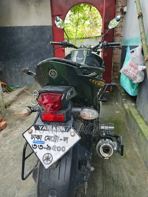 Yamaha FZS V2 2017 Green