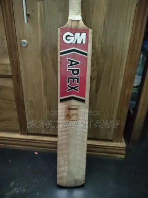 GM.apex Kashmir Willow Cricket Bat