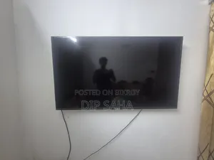 সনি ব্র্যাভিয়া ৫৫" টিভি (ডিসপ্লে নষ্ট)