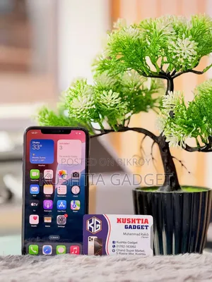 অ্যাপল আইফোন এক্সএস ম্যাক্স ৫১২ জিবি ব্ল্যাক