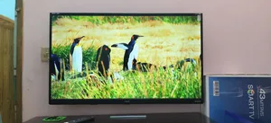Singer 43 Inche Android Smart TV Dolby Audio Sound
