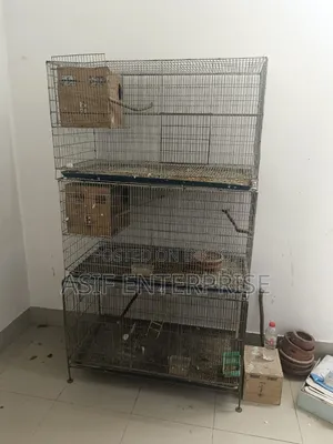 পাখির খাচা