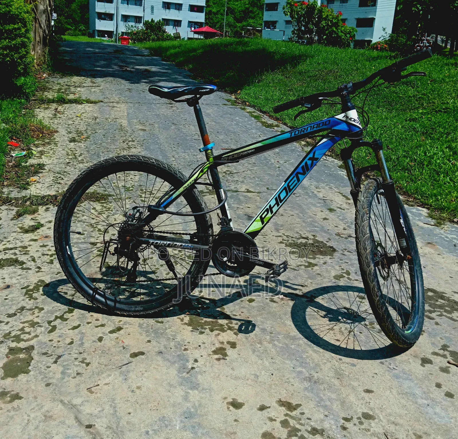 সাইকেল ফোনিক্স টর্নেডো