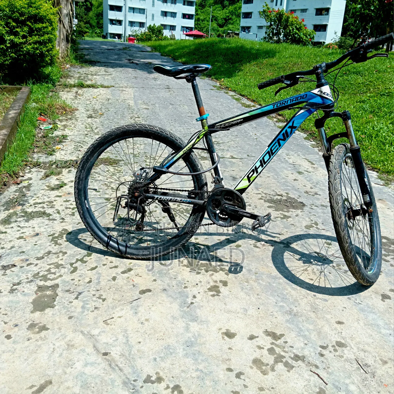 সাইকেল ফোনিক্স টর্নেডো