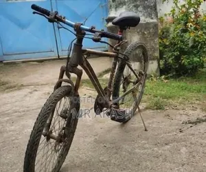 Bicycle Gear