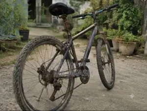 Bicycle Gear