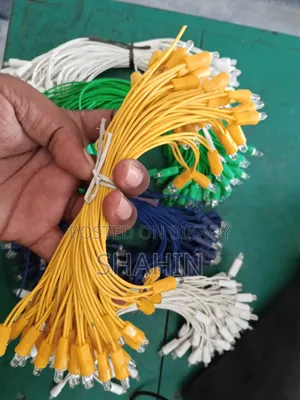 ভাড়া টাকায় কিনে নিন মরিচ বাতি ক্যান্ডি লাইট