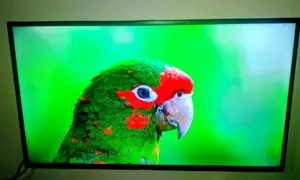 40 Inch Large Walton TV Full HD With Almost Two Years Warranty