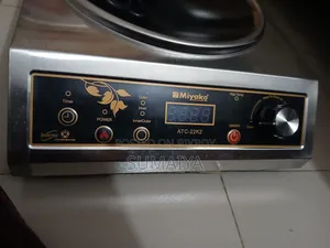 Electronic Stove
