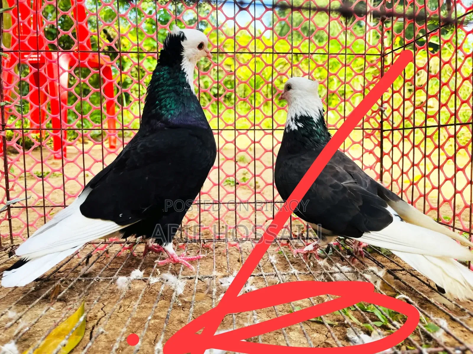 This pair will be exchanged