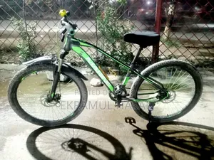 Marine Bicycle