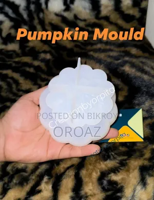 সিলিকন মোল্ড