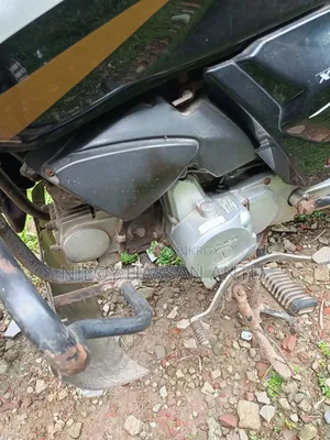 লোনসিন এলএক্স১১০-১২এ ২০১৫ কালো