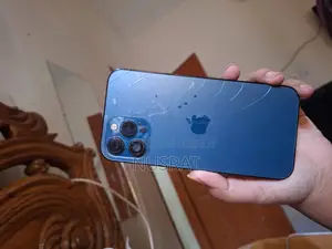 অ্যাপল আইফোন ১২ প্রো ম্যাক্স ২৫৬ জিবি নীল