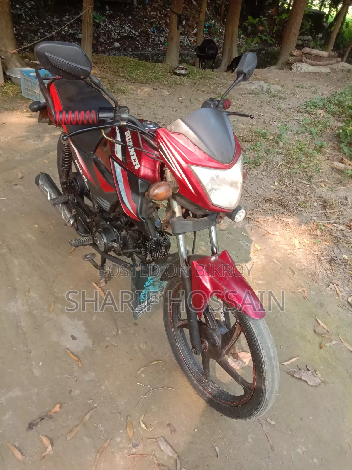 রানার বাইক আরটি ৮০ ২০১৭ রেড