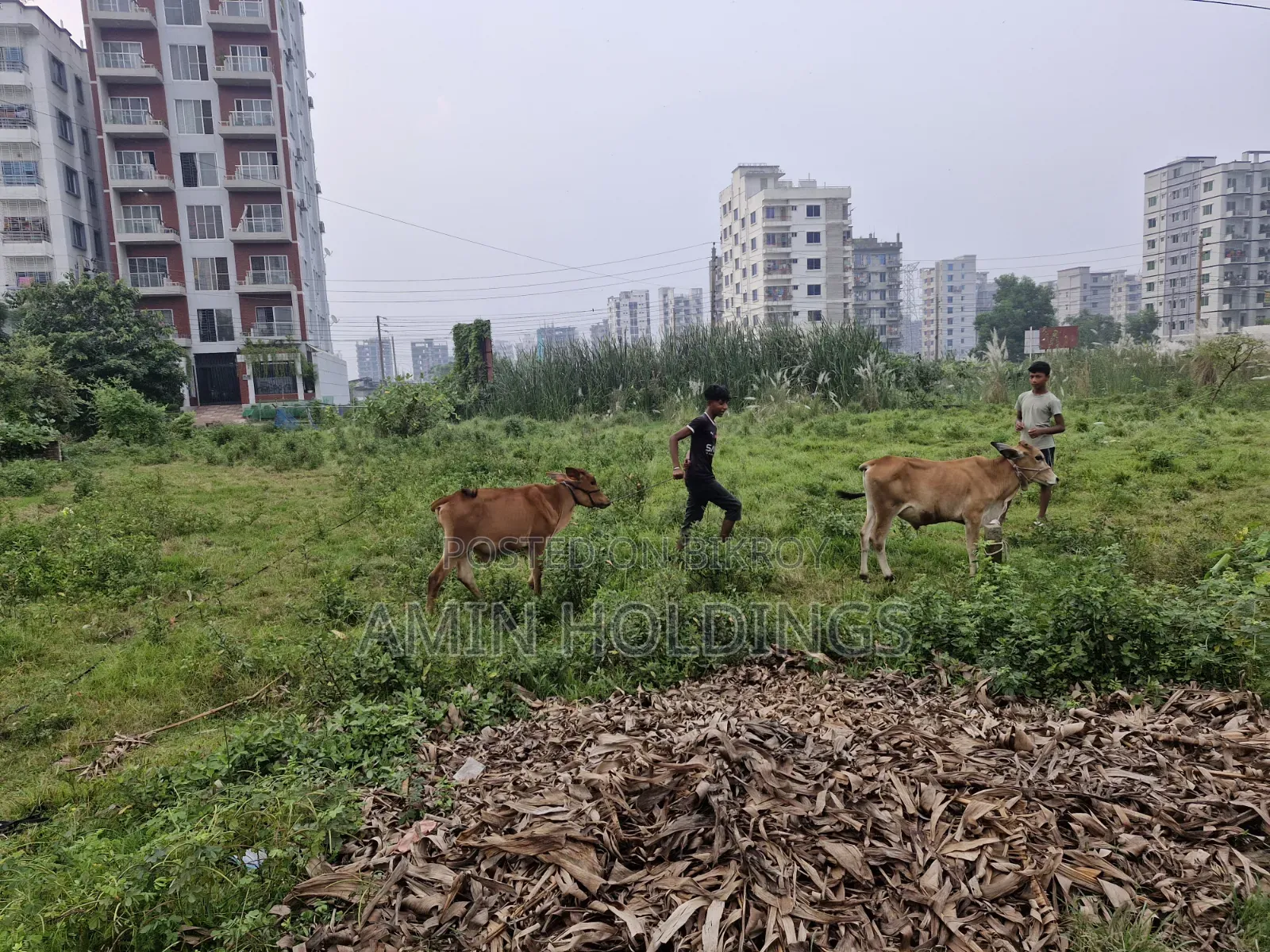 Aftabnagar Block H Sector 4 Road 6 15 Katha Land for Sale