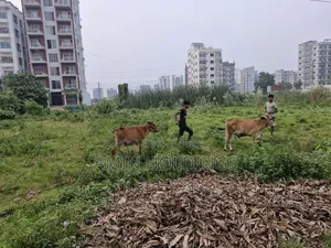 Aftabnagar Block H Sector 4 Road 6 15 Katha Land for Sale