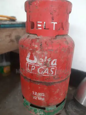 Gas stove with gas regulator