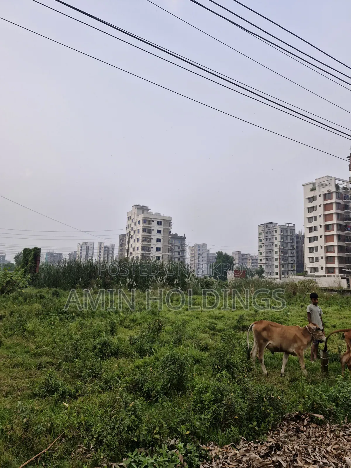 3.5 katha bounded plot for sale at Aftabnagar Block C Road 2