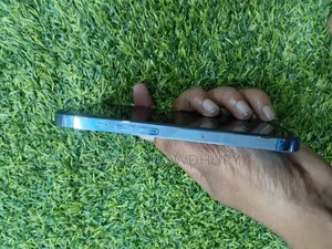 অ্যাপল আইফোন ১৩ প্রো ২৫৬ জিবি গ্রিন