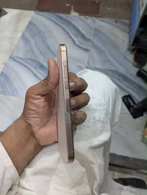 অ্যাপল আইফোন ১৬ প্রো ম্যাক্স ২৫৬ জিবি রোজ গোল্ড