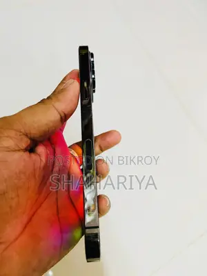 অ্যাপল আইফোন ১৩ প্রো ম্যাক্স ২৫৬ জিবি গ্রে