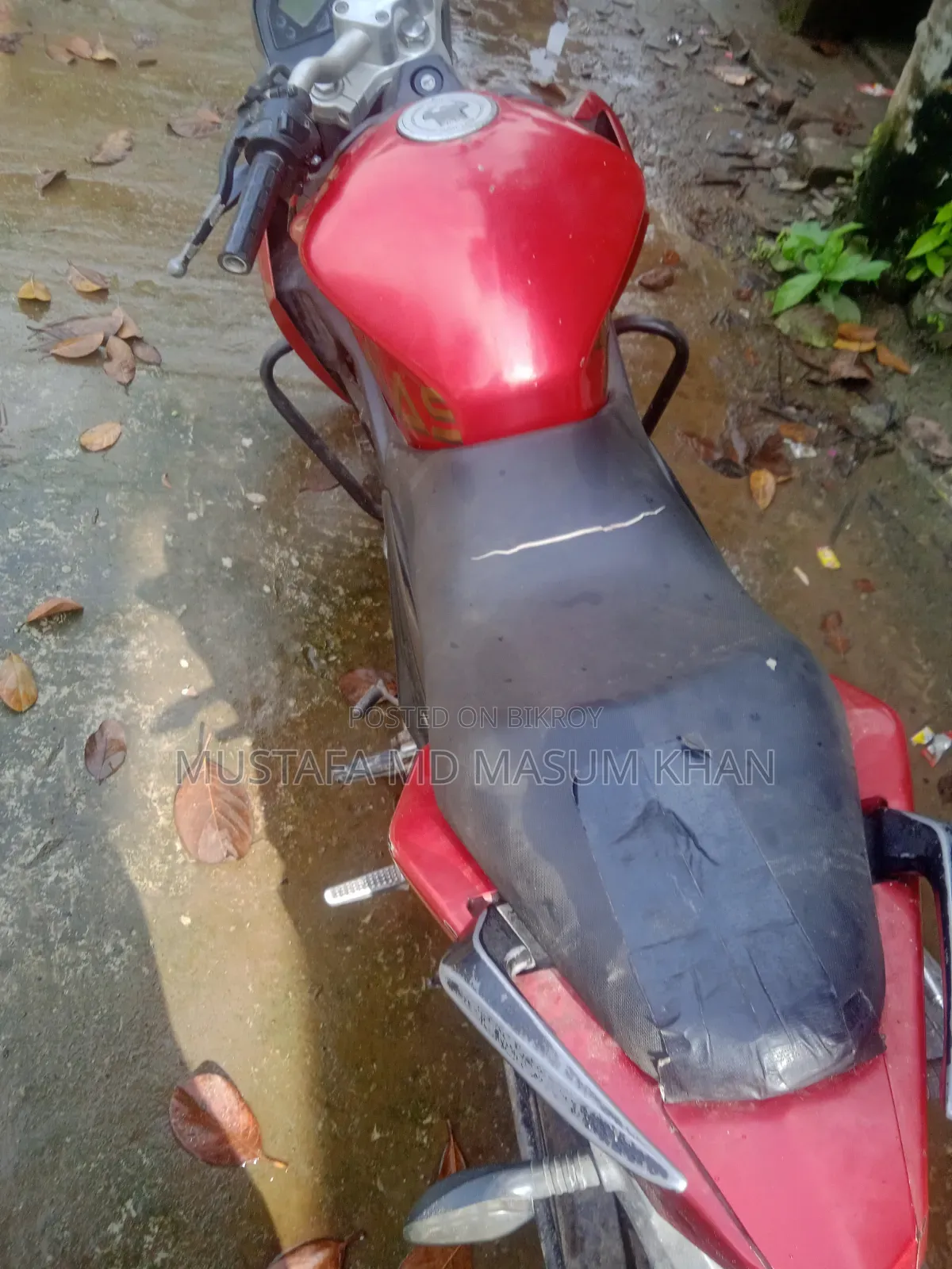 Roadmaster Rapido 165 2016 Red