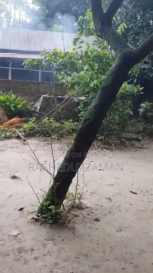 ফুলবাড়িয়ায় ফার্নিশড ২ বেডরুমের বাড়ি বিক্রয়ের জন্য