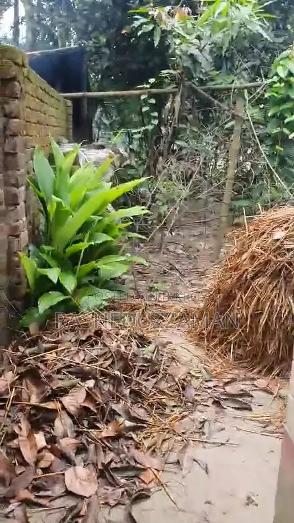 ফুলবাড়িয়ায় ফার্নিশড ২ বেডরুমের বাড়ি বিক্রয়ের জন্য