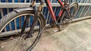 Duranta Bicycle