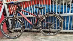 Duranta Bicycle