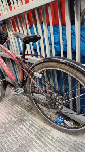 Duranta Bicycle