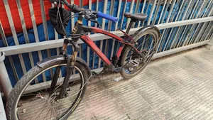 Duranta Bicycle