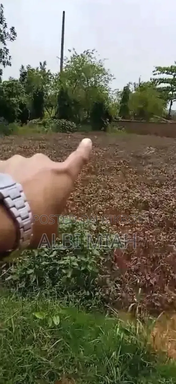 প্লট বিক্রি করা হবে। ৬ কাঠা।দাম আলোচনা সাপেক্ষে