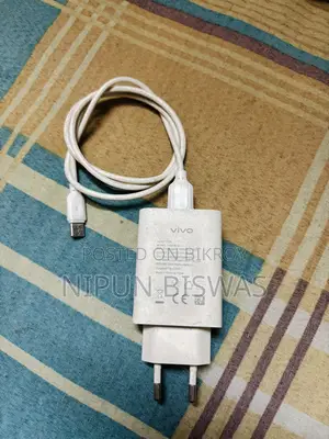 ভিভো চার্জার