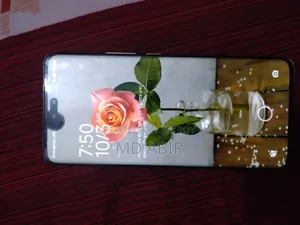 শাওমি ১৩ লাইট ২৫৬ জিবি পিংক
