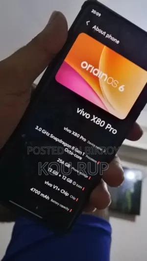 Vivo X80 Pro 256 GB Black