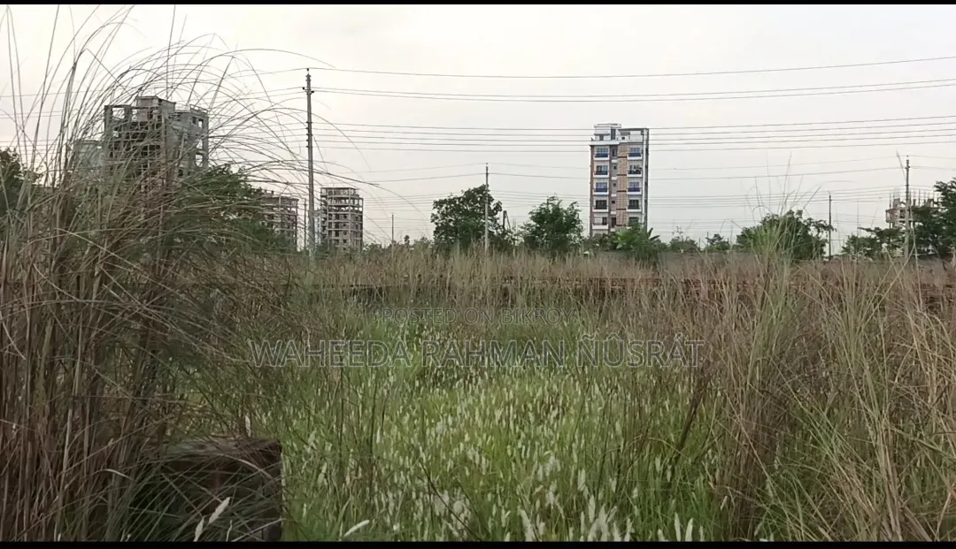 Urgent Sell: 3 Katha South-Facing Ready Plot Block M (3100 Serial)