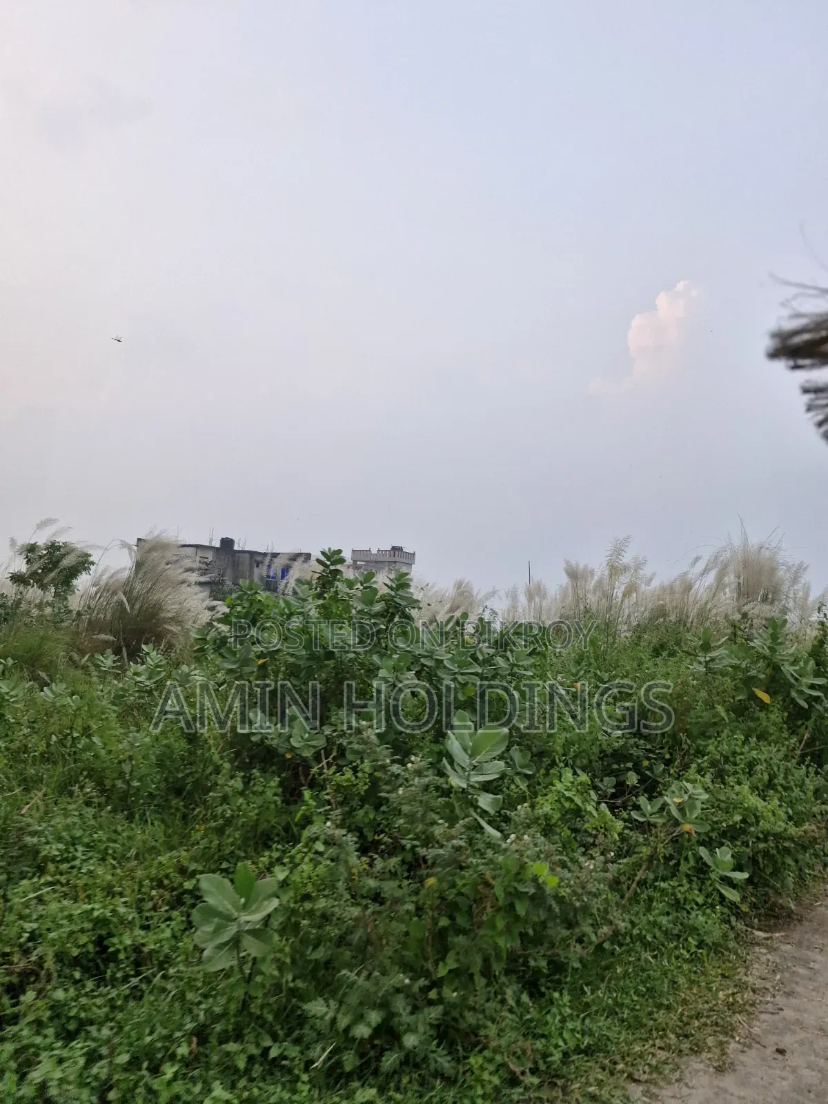 আফতাবনগর ব্লক এফ সেক্টর ২ রোড ৩ দক্ষিণ মুখি ৩ কাঠার প্লট বিক্রি হবে