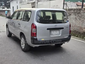 Toyota Probox 1.5 CNG Two-Wheel Drive 2013 Silver